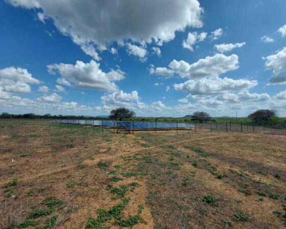 WhatsApp Image 2025-03-12 at 12.33.06 (2)