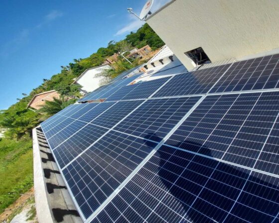 WhatsApp Image 2025-03-12 at 12.33.06 (3)