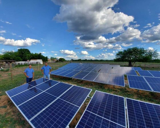 WhatsApp Image 2025-03-12 at 12.33.06